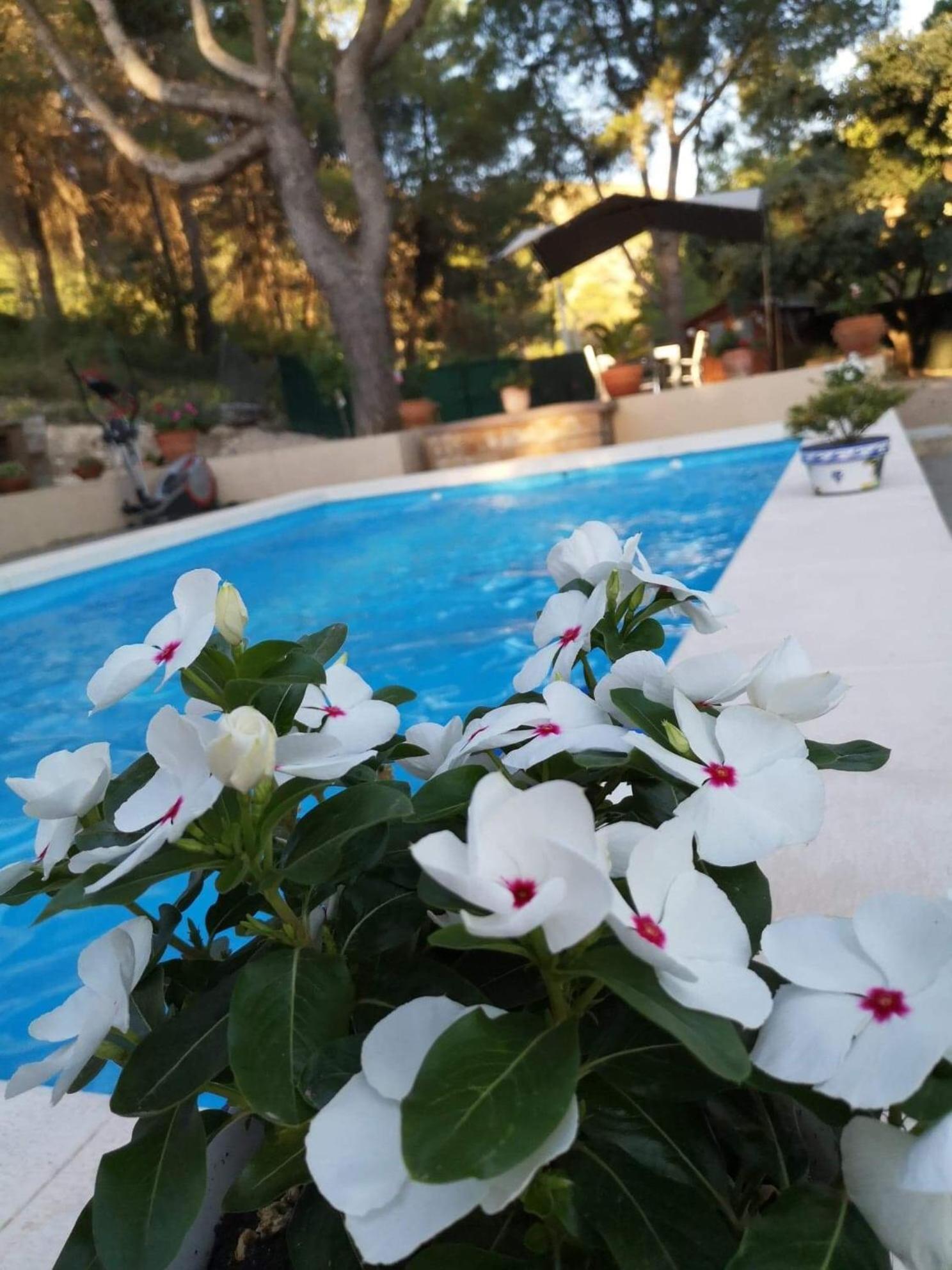 온티니엔트 Casa Jetizo B&B 외부 사진