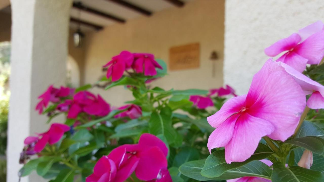 온티니엔트 Casa Jetizo B&B 외부 사진