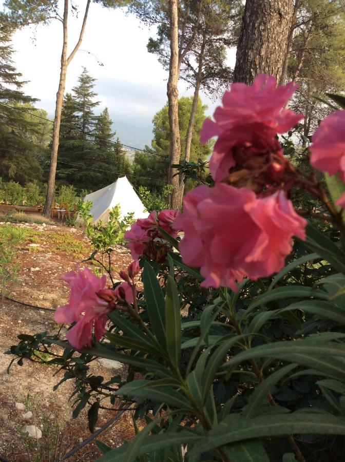 온티니엔트 Casa Jetizo B&B 외부 사진